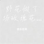 野花做了场玫瑰花的梦 (Cover 杨友友) - 音乐世界 专辑封面