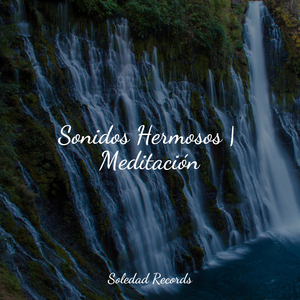 Revolotea en La Brisa