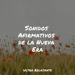 Hamaca En Los Árboles