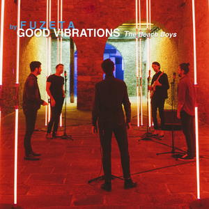 Good Vibrations (The Beach Boys Cover)