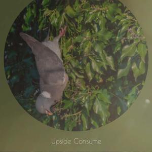 Photovoltaic Liberalising