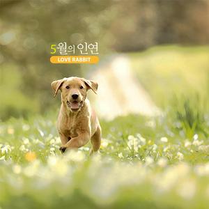 5월의 인연