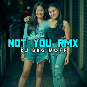 Not You Rmx