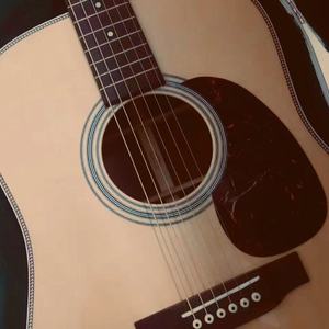 願桜（Live）（Cover GIN）