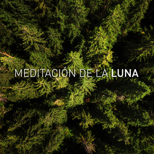 สายลมยามเที่ยงคืน