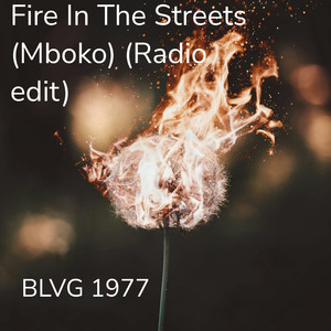 Fire in the Streets (Radio edit)