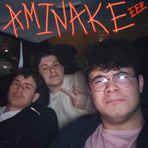 AMINAKE