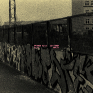 Wing House (Shan Remix)