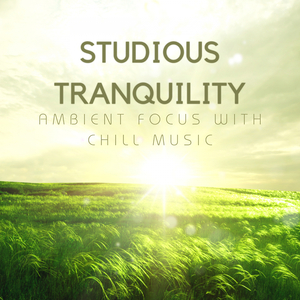 Suspended in Ambient Study Flow