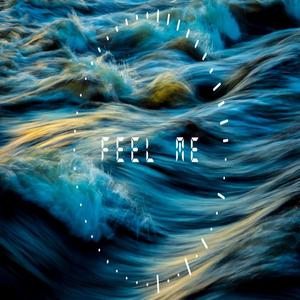 Feel Me (Instrumental) (Instrumental)
