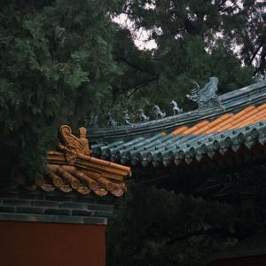 岸边客（女生版）