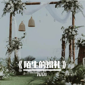 《陌生的婚礼》