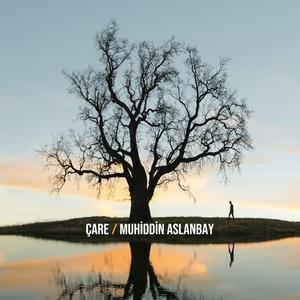 Çare