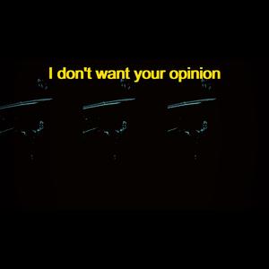 I Don't Want Your Opinion