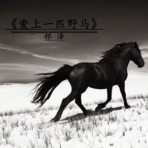 爱上一匹野马