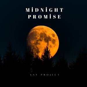 Midnight Promise