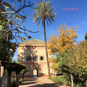 Olivier