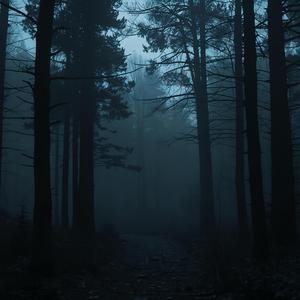 Under the Tall Pines