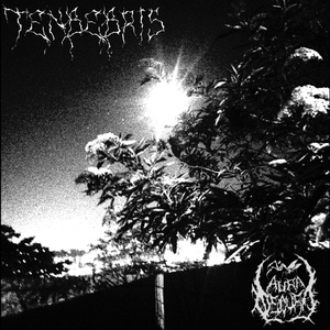 TENEBRIS