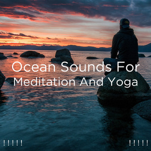 Le Bruit De L'Océan Pour Étudier