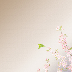 历劫成衣（Cover Vk）