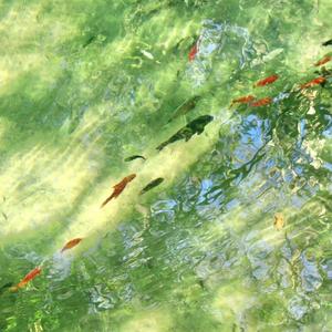 family (feat. wintfye & uptempo)