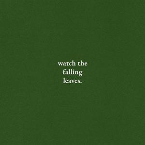 Watch the Falling Leaves
