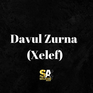 Davul Zurna (Xelef)