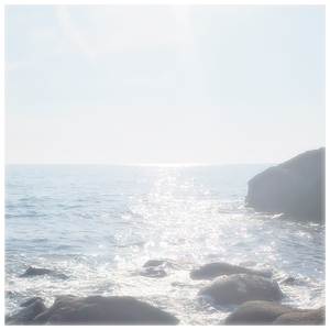 외로움은 혼자라는게 아니라 내가 없을 것을 같을떄야