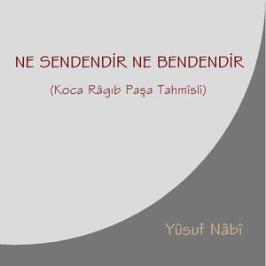 Ne Sendendir Ne Bendendir (Râgıb Tahmîsli Nâbî Gazeli)