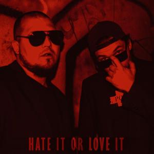 Hate it or Love it