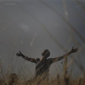 Paradojas en los jardines del universo