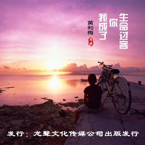 我成了你生命过客