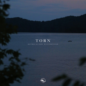 Torn