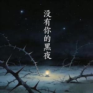 没有你的黑夜