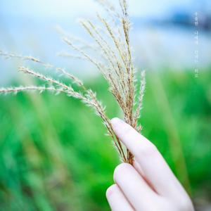 나에게 건네는 위로