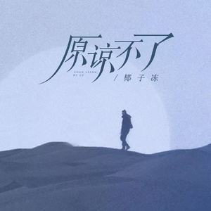 原谅不了（DJ弹鼓版）超声波版