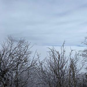 趁早(2005版)_（翻自 张宇）