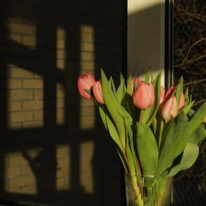 We should lie on the bed