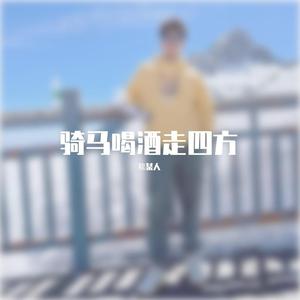 我写了一段江湖事