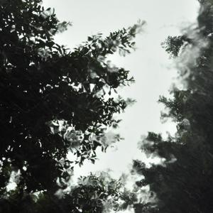 自然雨声白噪音/山林雨水//舒缓/背景音乐/睡觉/学习/工作/解压/放松2