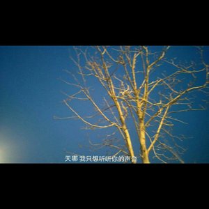 两年前的这个时候dome