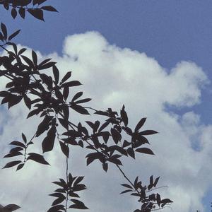 旅途【PROD BY Red killer】