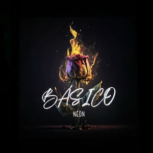 Basico