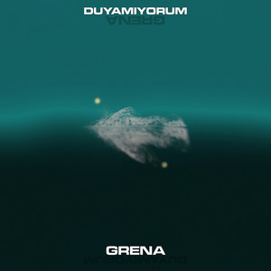 Duyamıyorum