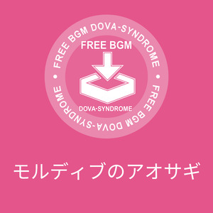 モルディブのアオサギ