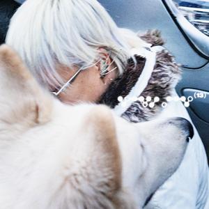 elles (ne coulent pas)