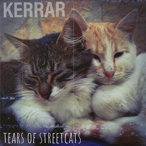 Tears Of Street Cats