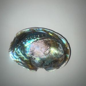 Come Back Home Blues