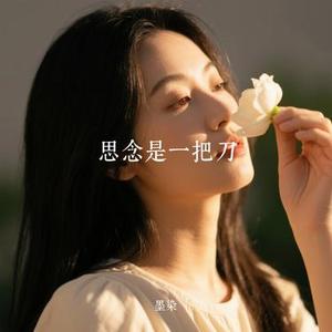 思念是一把刀 (Cover 刘辰希)